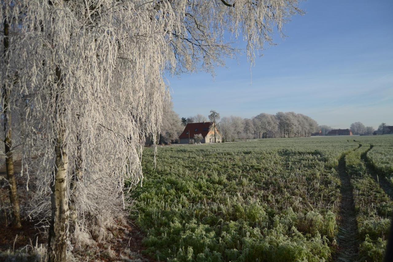 Zum Heuerling Ferienwohung Im Alten Stall Mit Sauna Versmold Zewnętrze zdjęcie